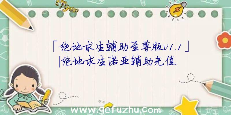 「绝地求生辅助至尊版v1.1」|绝地求生诺亚辅助充值